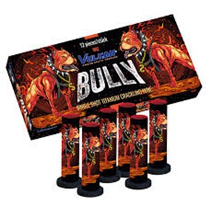1682 Bully