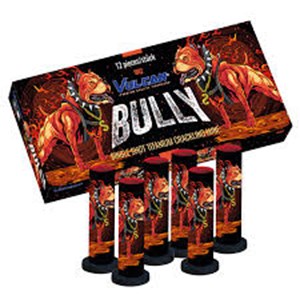 1682 Bully
