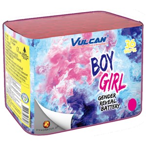 Gender Reveal Cake Vuurwerkbatterij Pink Roze Vuurwerk Gender Reveal Meisje T&T Fireworks Bvba