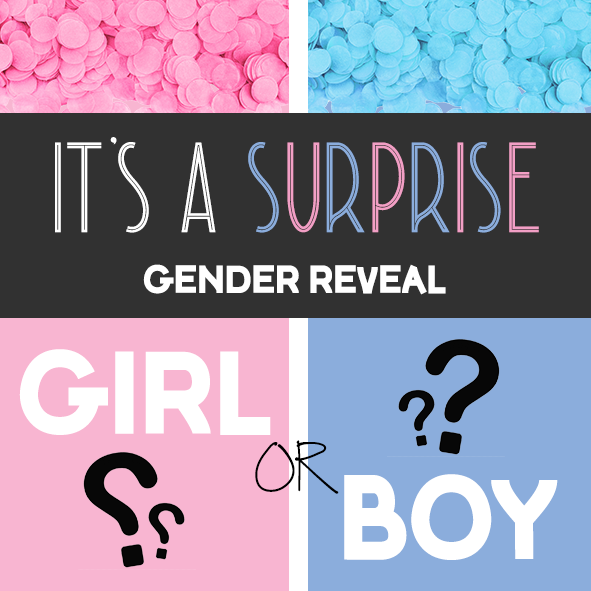 Gender Reveal T&T Fireworks Vuurwerk Aankondiging Baby Aankondiging Geslacht Baby Blauw Vuurwerk Roze Vuurwerk Babyshower Fireworks Gender Reaveal