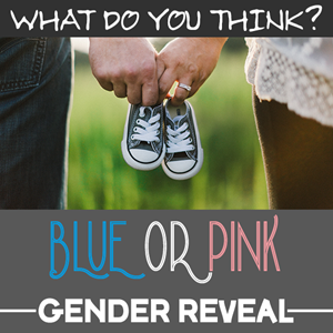 Gender Reveal Smoke Rook Fonteinen Geslacht Baby Vuurwerk Baby Gender Reveal Rook T&T Fireworks